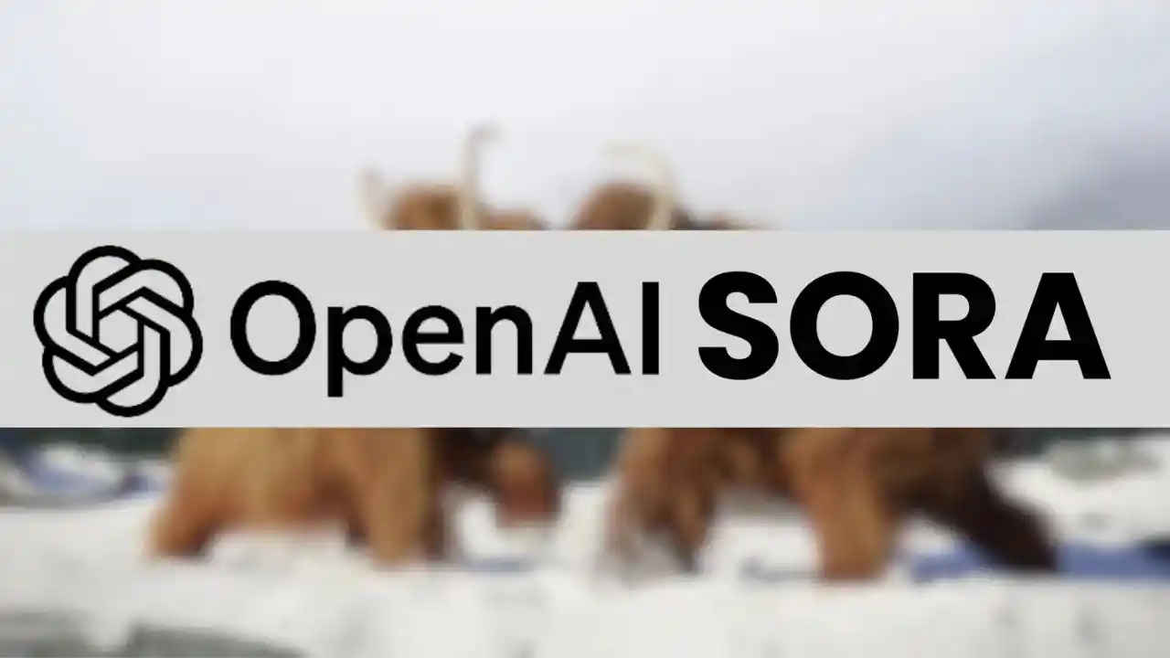 OpenAI took feedback from Indian artists and others to develop AI video-maker Sora: Details